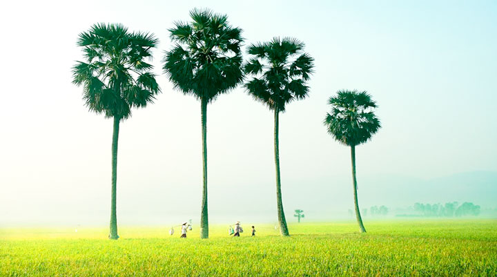 Du Lịch Miền Tây giá tốt khởi hành từ Sài Gòn (2015)